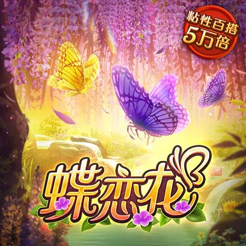55世纪平台